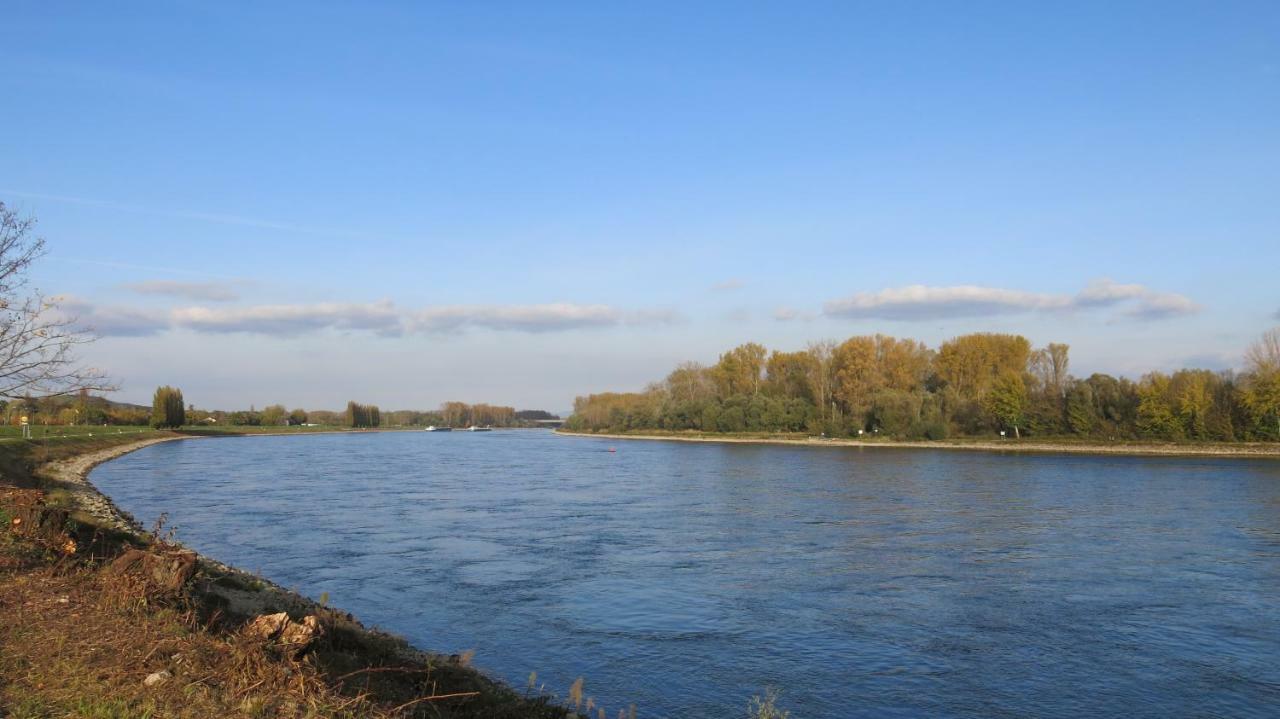 Hagebutte Lägenhet Speyer Exteriör bild